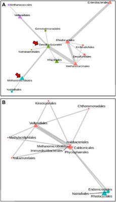 Host Genome–Metagenome Analyses Using Combinatorial Network Methods Reveal Key Metagenomic and Host Genetic Features for Methane Emission and Feed Efficiency in Cattle